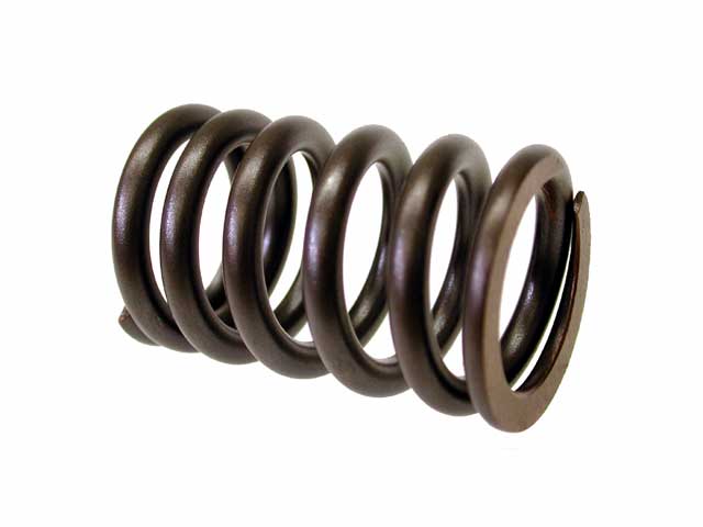 Valve Spring - DNA-Motorsports