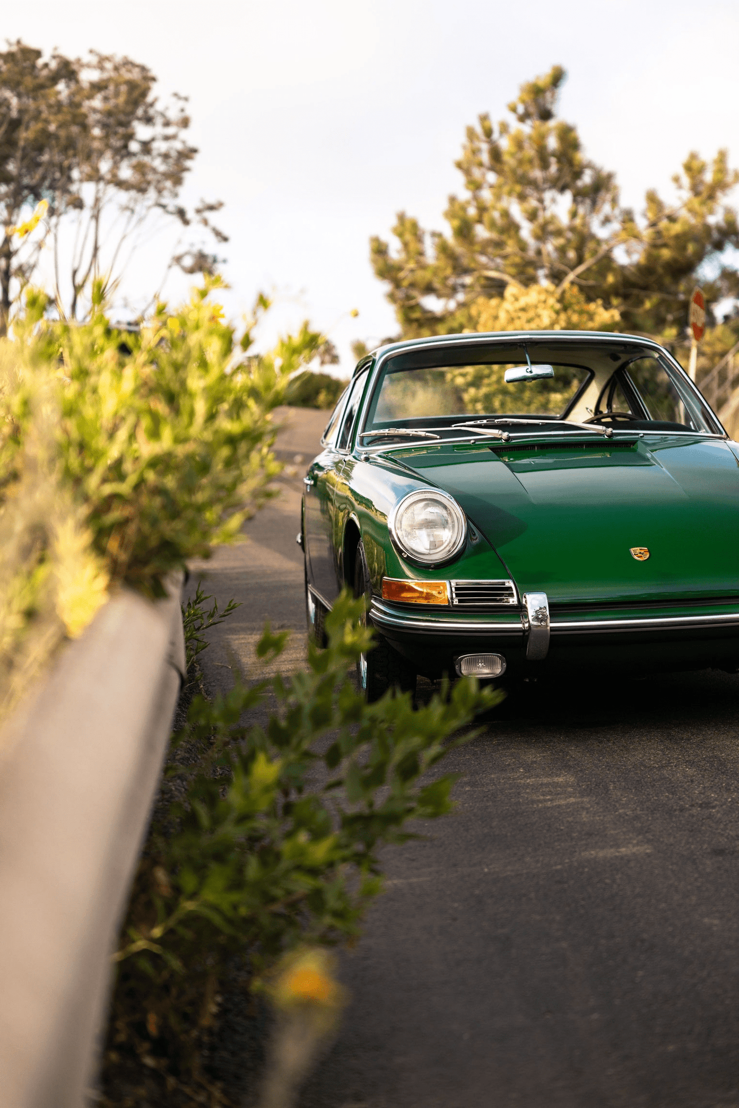 1965 Porsche 911 Irish Green - DNA - Motorsports