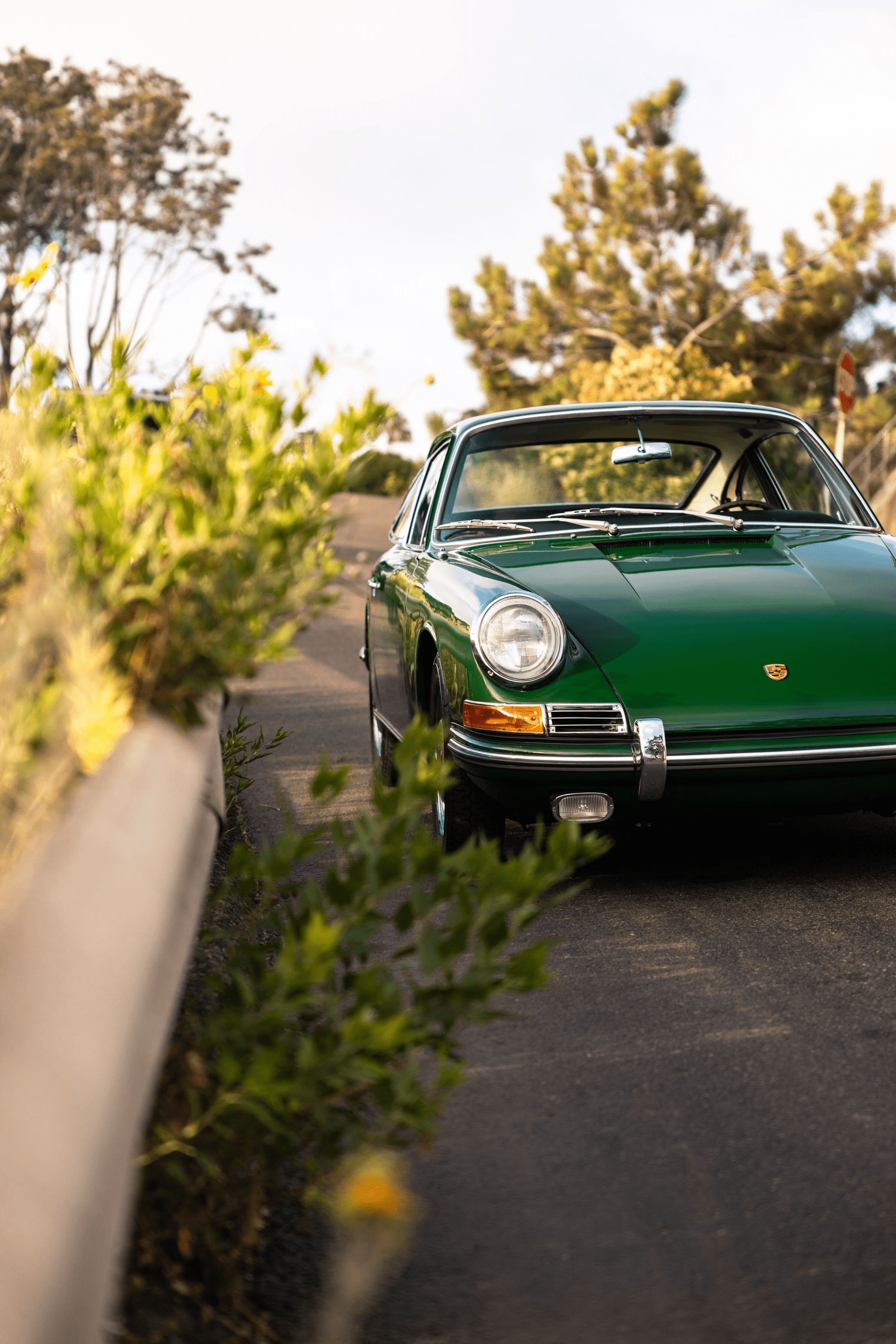 1965 Porsche 911 Irish Green - DNA - Motorsports