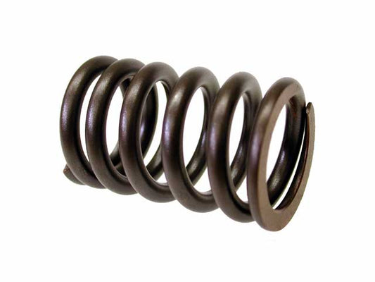 Valve Spring - DNA-Motorsports